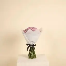 وليف
